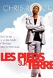 Les pieds sur terre 