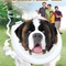 Affiche du film Beethoven 4 - Beethoven 4 