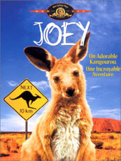 Affiche du film Joey (1997)