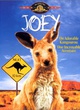 Affiche du film Joey (1997)