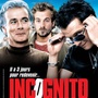 Incognito avec Bénabar : les secrets
