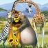 Madagascar, la suite ! : Madagascar 2, la grande évasion.