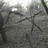 Blair Witch, le troisième projet !