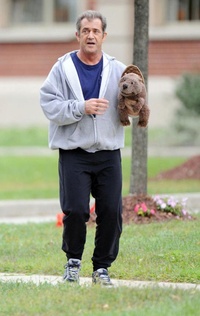 Photos de The Beaver avec Mel Gibson