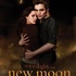 Twilight : rencontrez les acteurs de la saga !