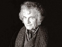 La Nouvelle-Zélande accueille les hobbits cet été !