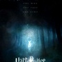 Harry Potter 7 (presque) dévoilé