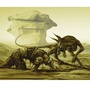 Riddick épisode 3, premières infos
