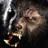 The Wolf Man avec Benicio del Toro : première photo !