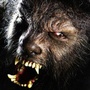 The Wolf Man avec Benicio del Toro : première photo !