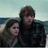 Nouvelles Photos pour harry Potter et les reliques de la mort !