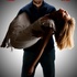 Dexter saison 5 s'affiche sombrement