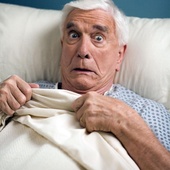 Décès du comédien Leslie Nielsen