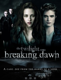 Twilight, Harry Potter...: bonne année 2011 !