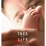 Tree of life, incertain pour Cannes