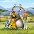 Madagascar 2 photos!!