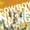 Adaptation de Cowboy Ninja Viking par Marc Forster