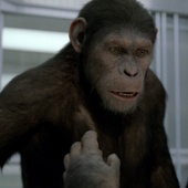 La planète des singes : les origines 2 a son scénariste