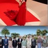 Le 65ème festival de cannes est officiellement ouvert ! 