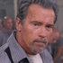 The tomb, Stallone et Schwarzenegger en photos !