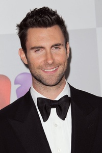 Adam Levine jouera dans Can A Song Save Your Life ?