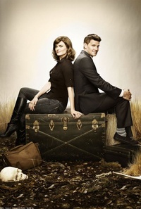 Bones saison 8, saison des amours !