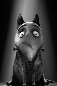 Frankenweenie : 8 photos promo sur les personnages