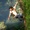 Uncharted : nouveaux scénaristes au programme