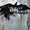 The Lone Ranger : bande-annonce VO et affiches ! 