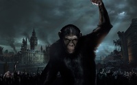 Dawn of the Planet of the Apes : de nouvelles informations 