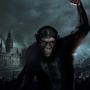 Dawn of the Planet of the Apes : de nouvelles informations 