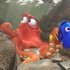 « Elle est presque là » : Le nouveau spot TV du film Le Monde de Dory !