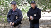 L'agent très spécial Tony DiNozzo quitte NCIS et cela nous brise le cœur, en mille morceaux !