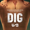 Dig