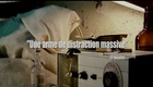 Teaser VF