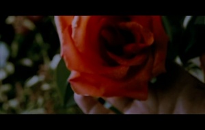 A single man  Bande annonce 1 VOST
