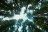 Bande annonce 1 VO