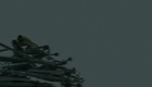 Teaser VF