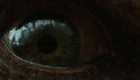 Bande Annonce 1 VO
