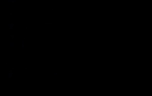 Dog Pound  Bande annonce 1
