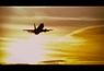 Teaser 2