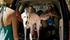 Bande annonce 1 VF
