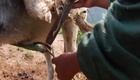 Bande annonce VO