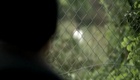 Bande Annonce 1 VF
