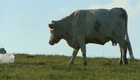 Bande annonce 