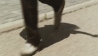 Bande Annonce VOST