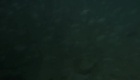 Bande annonce 1 VO