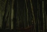 Bande annonce 1 VO