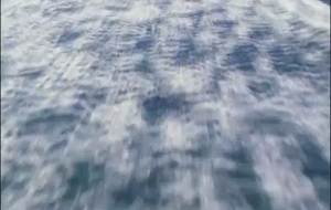 Water, le pouvoir secret de l’eau   Bande annonce 1 VF