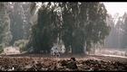 Bande annonce 1 VO